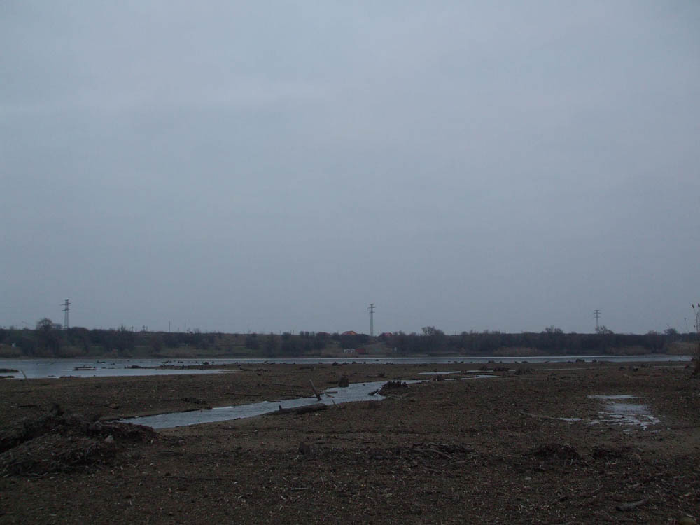 TANCABESTI SECAT - DSCF3467.jpg